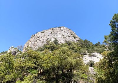 Moletó del Mas de Pau